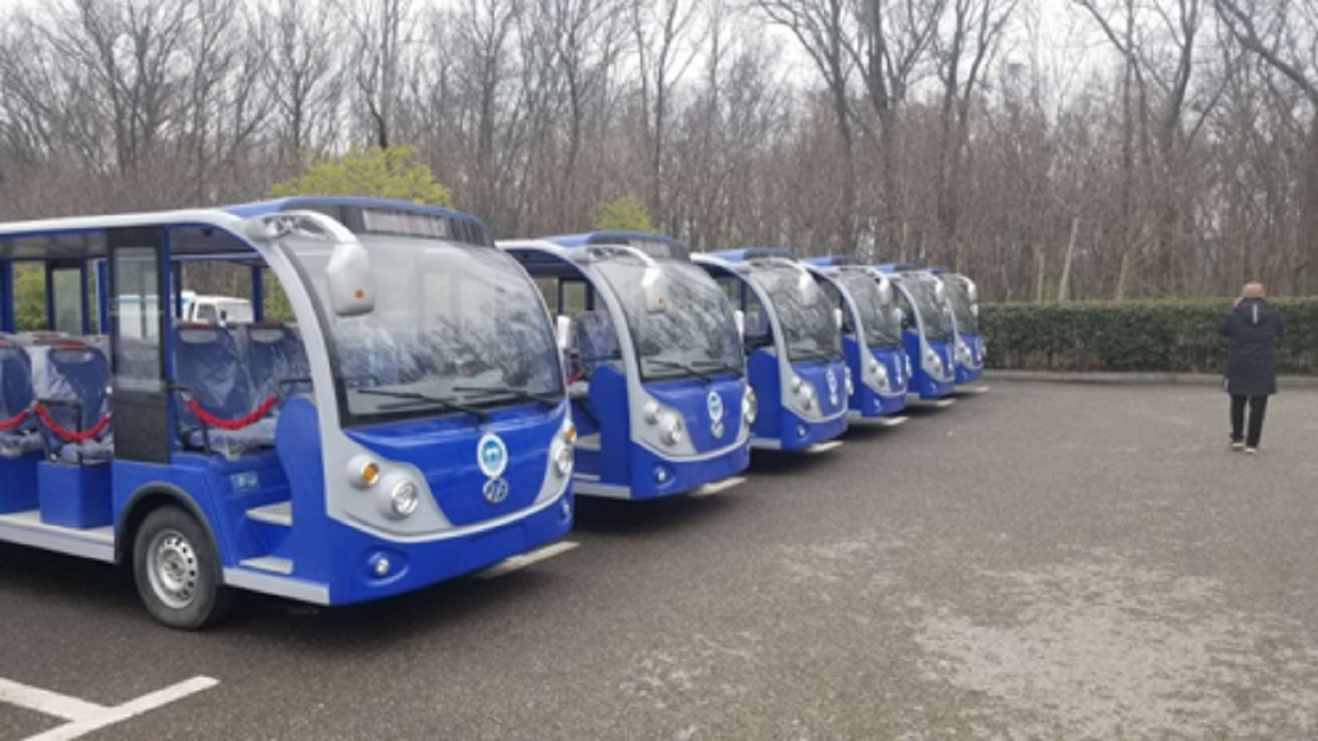 忠輝觀光車(chē)