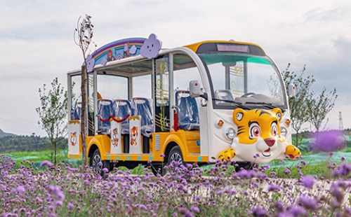 旅游景區(qū)為什么要用燃油觀光車？